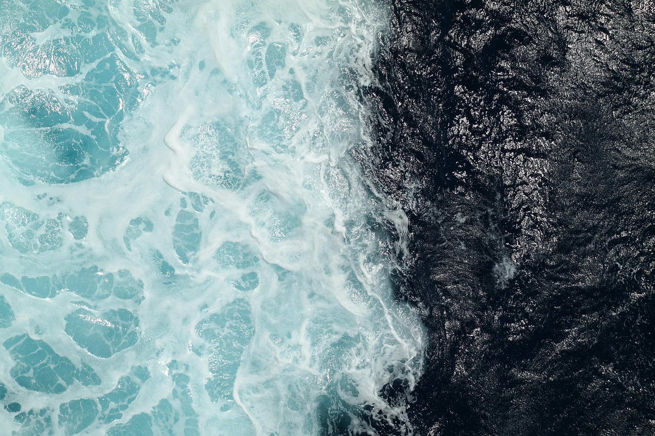 Edge AI's Dynamic Brain: How Devices Smartly Share the Thinking Load