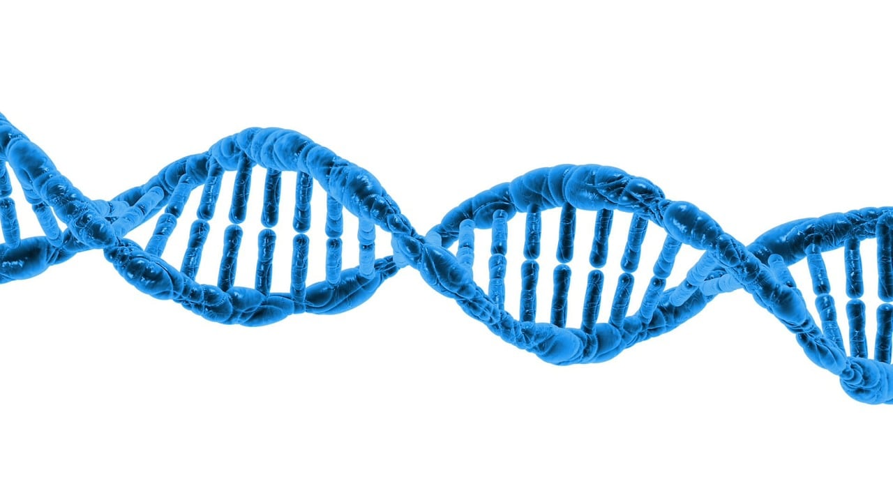 The Rise of In-Situ Epigenetic Computation: Engineering Real-Time Therapeutic Adaptation via Chromatin-State Logic