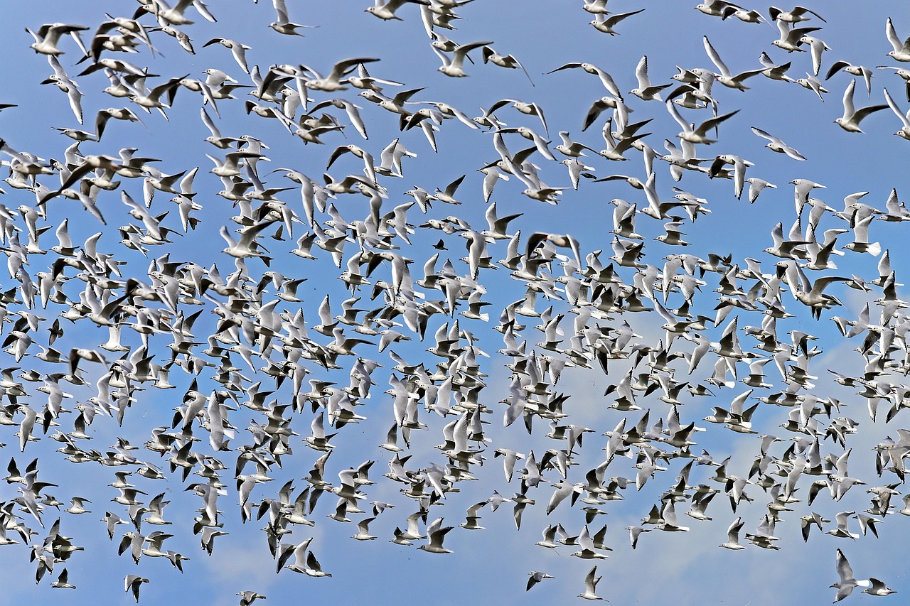 Swarm Smarts: When Edge Devices Team Up to Think Faster