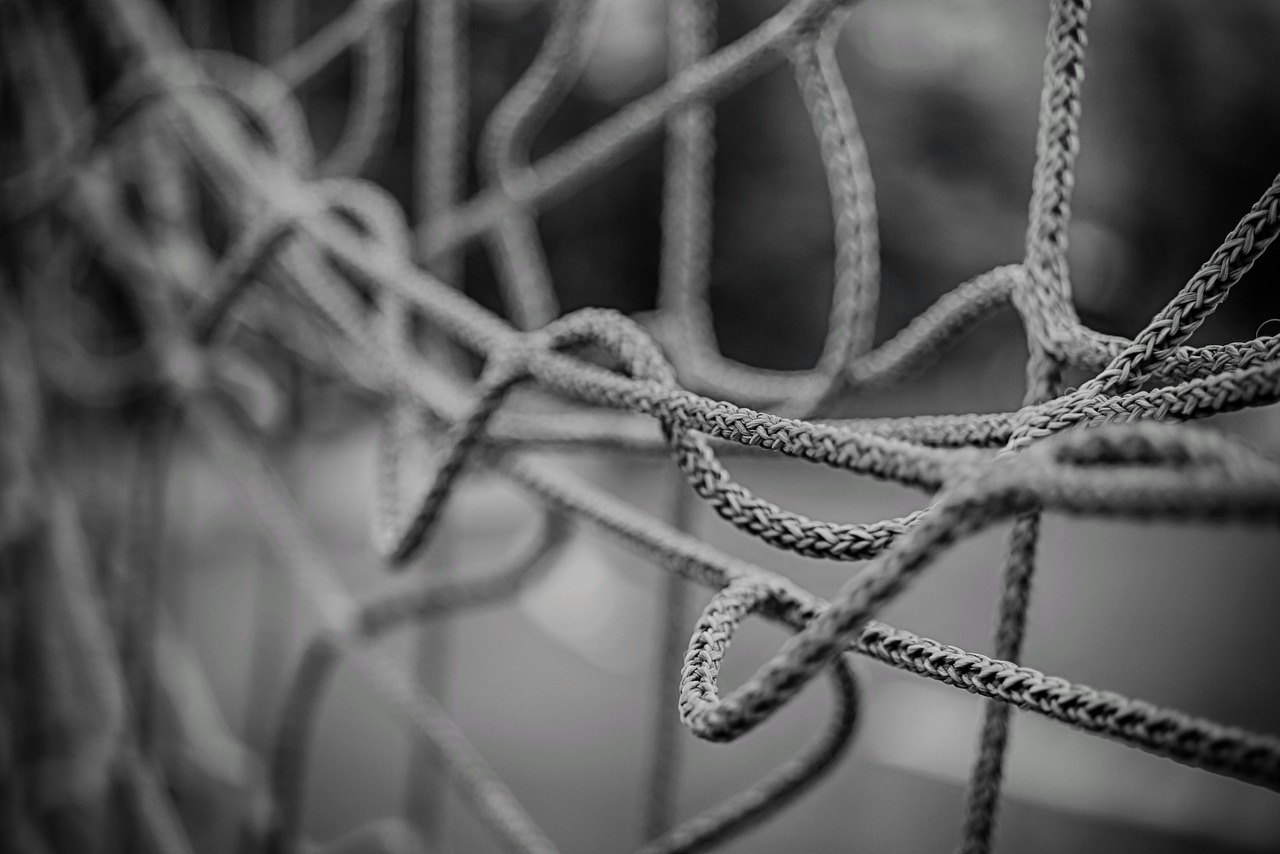 The Rise of Synthetic Neuro-Plasticity: Engineering Self-Optimizing Algorithmic Resilience