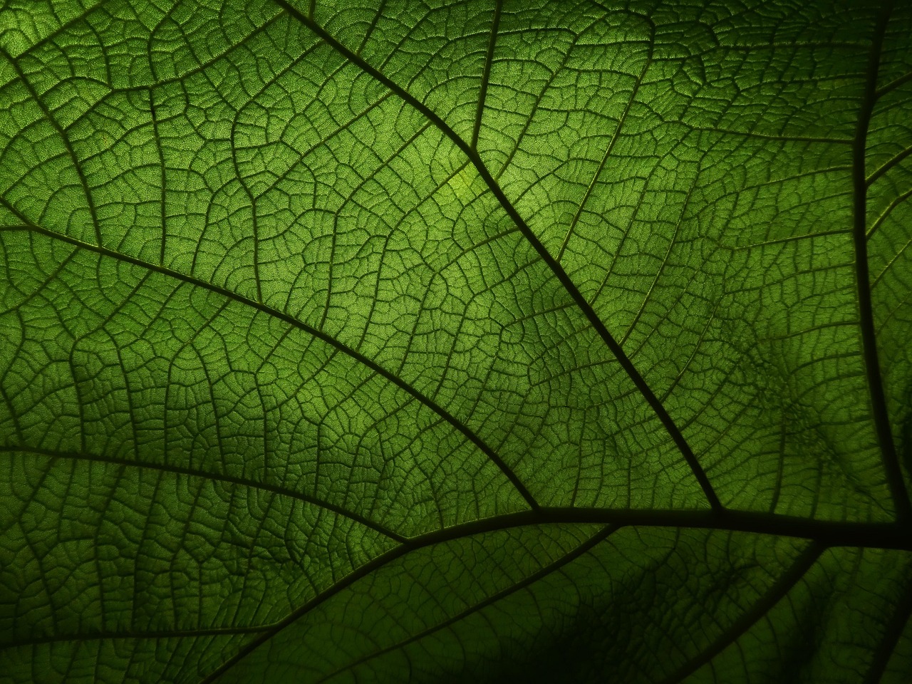 The Cell's Secret Language: AI Decodes Life's Dynamic Maps